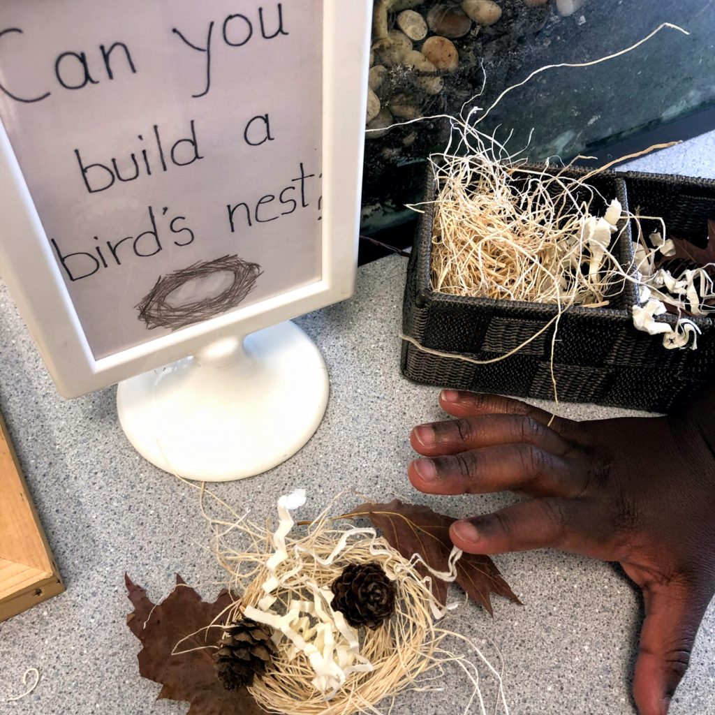 Making our own nests was a popular activity at our nature table.