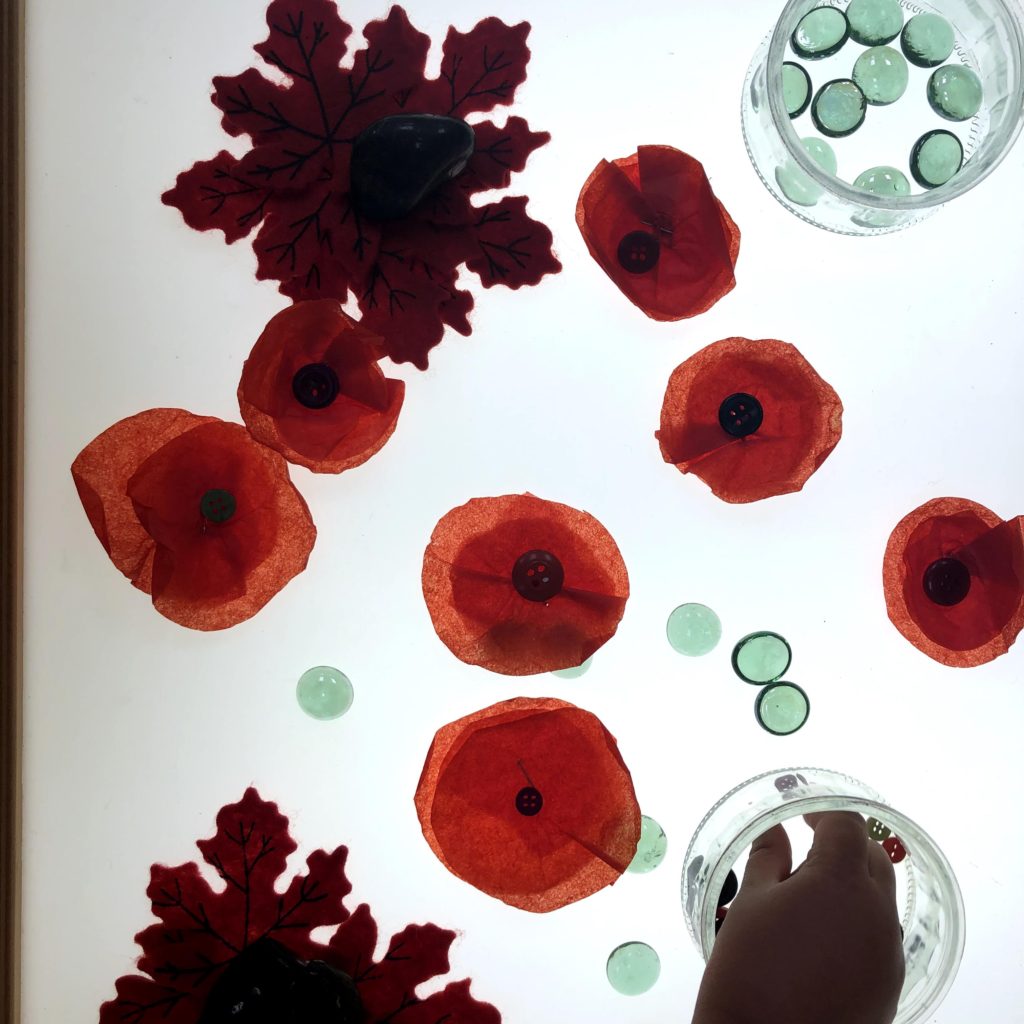 A light table provocation in play with loose parts to create a poppy for Remembrance Day in Kindergarten